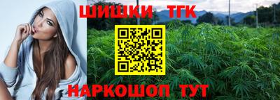 стаф Шахты