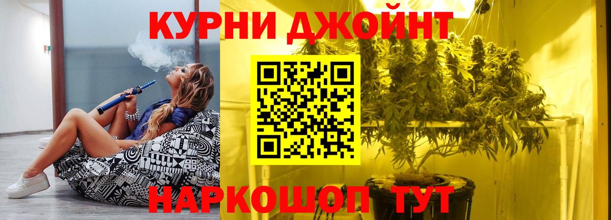 Бошки Шишки план Ивантеевка